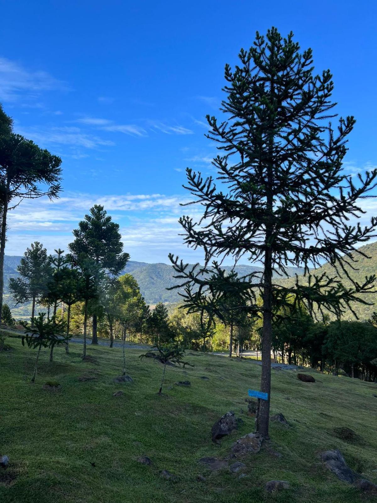 Cabana Refugio - Pousada Colina Dos Ventos Urubici Eksteriør bilde